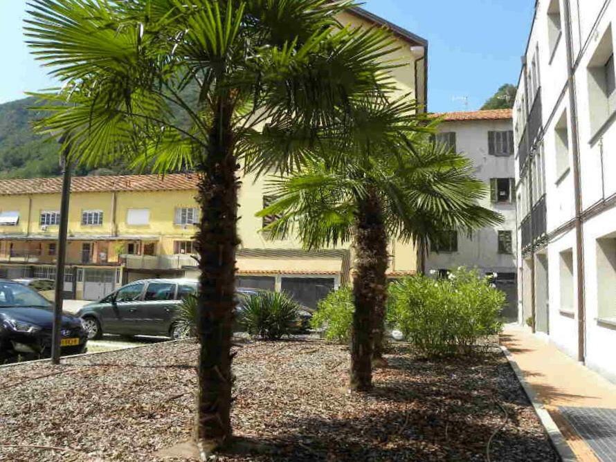 View Apartamento